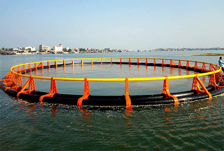 High Density Polyethylene (HDPE) Fish Farming Pipes and Fittings